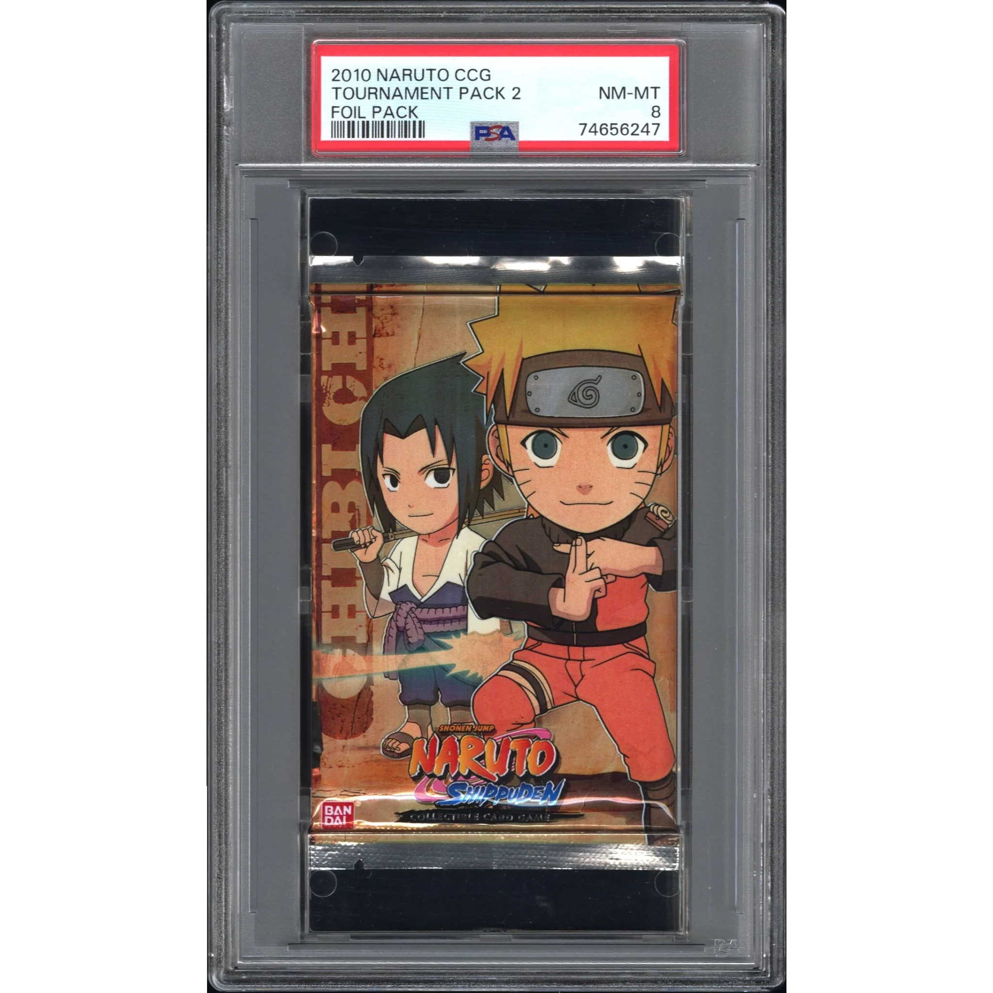 Miniatura 1